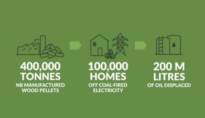 全球48%的木屑顆粒消費(fèi)來自住宅和商業(yè)建筑。從2020年到2021年，歐洲家庭生物質(zhì)消費(fèi)量增長(zhǎng)了18%，商業(yè)應(yīng)用增長(zhǎng)了12.5%。