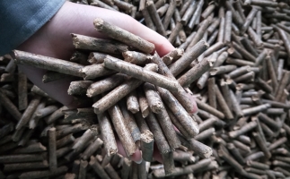 鋸末顆粒機(jī)顆粒，一種快速增長的能源載體
