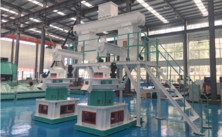 木屑顆粒機(jī)多少錢一臺(tái)?建顆粒廠大約多少錢？