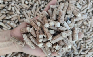 木材加工廠木屑堆積如山，環(huán)保部門(mén)令趕緊處理怎么辦？有它就夠了