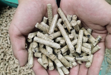 貴州省普安縣：廢料變?nèi)剂?木屑顆粒燃料加工忙